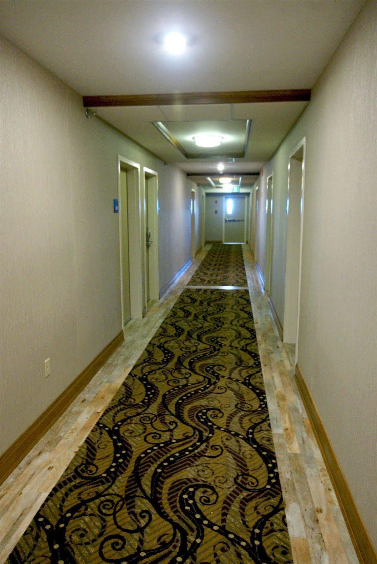 Holiday Inn Express Hotel & Suites Uptown Fredericton By Ihg Eksteriør billede
